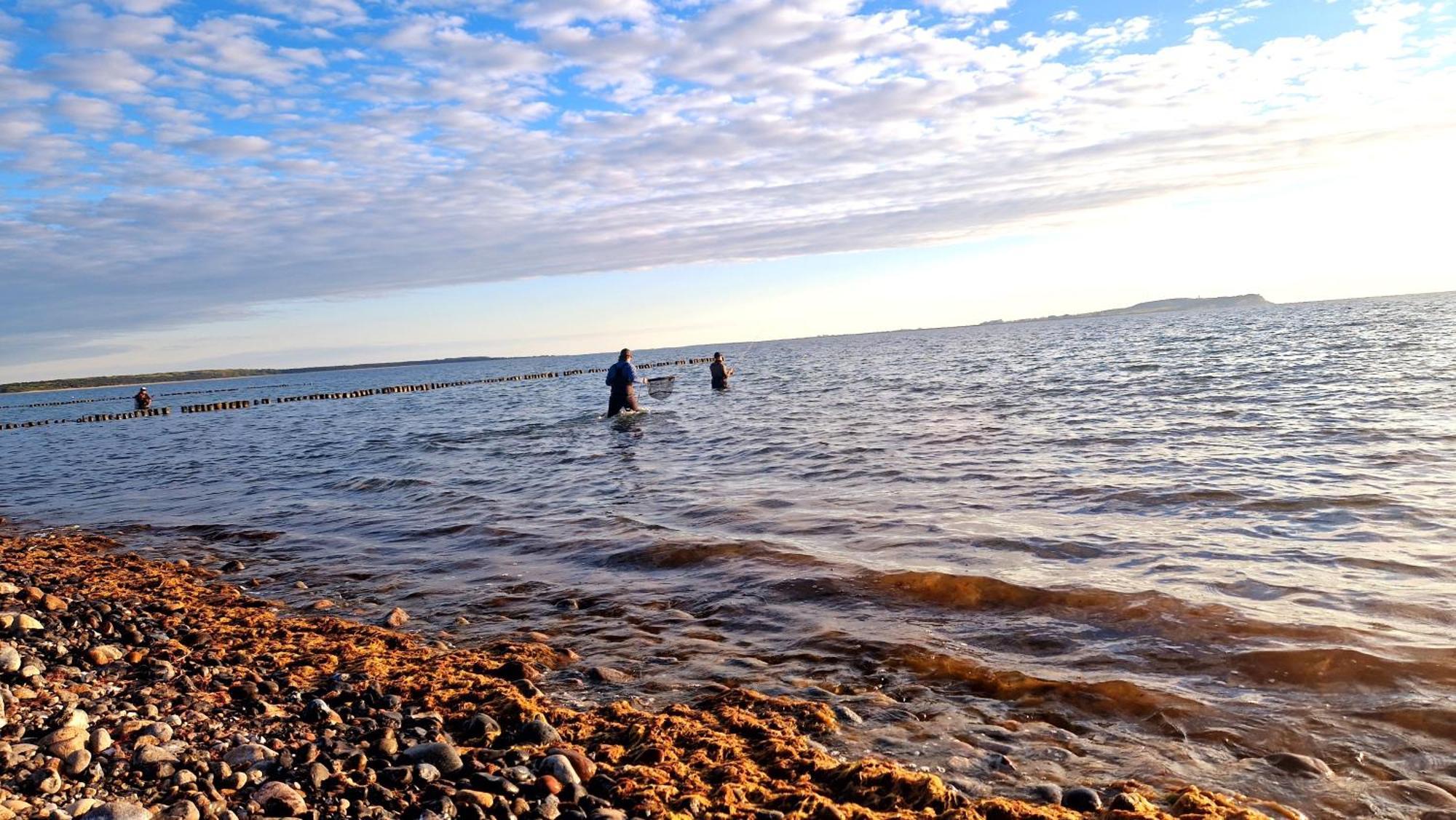 App 7O Kleinertag Am Meer Dranske Dış mekan fotoğraf